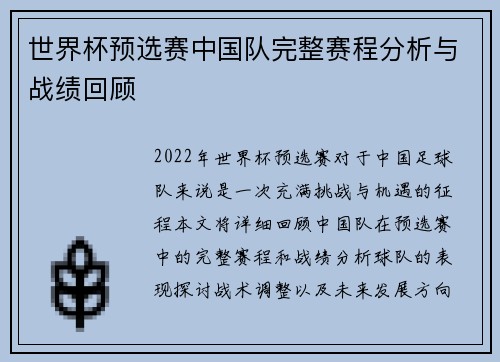 世界杯预选赛中国队完整赛程分析与战绩回顾